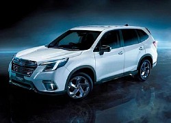 "Soi" Subaru Forester STI Sport từ 612 triệu đồng, đấu Mazda CX-5