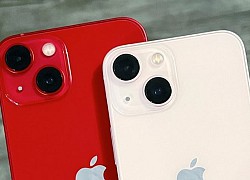 Sự khác biệt giữa iPhone 14, iPhone 13 và iPhone 12