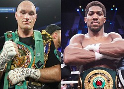 "Vua giang hồ" Fury đấu Joshua, so tài "rung chuyển" Boxing hạng nặng