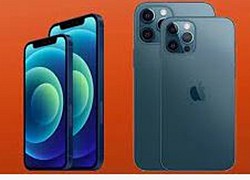 Apple giảm giá iPhone đời cũ nhưng lại bỏ iPhone 13 Pro và iPhone 11