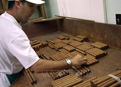 Doanh số của thương hiệu xì gà Cohiba tăng vọt