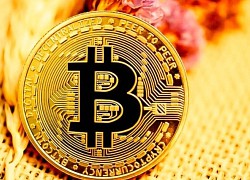 Giá Bitcoin hôm nay 11/9: Bitcoin tăng vượt 21.000 USD