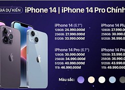 iPhone 14 bản cao nhất dự kiến có giá 50 triệu đồng