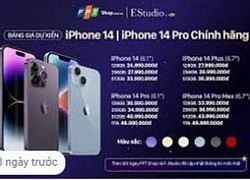 iPhone 14 series tại thị trường Việt đang tăng giá so với năm ngoái