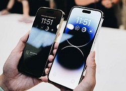 Người dùng Việt săn đón iPhone mới