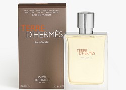 Nước Hoa Terre D'hermès Eau Givrée: Sự Tươi Mới Không Nhất Thiết Đồng Nghĩa Với Nét Nhẹ Nhàng