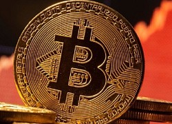 Giá Bitcoin hôm nay 14/9: Đà tăng giá Bitcoin chững lại, nhà đầu tư lo lắng