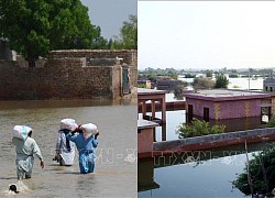 Pakistan sử dụng nền tảng điện tử để phân phối viện trợ