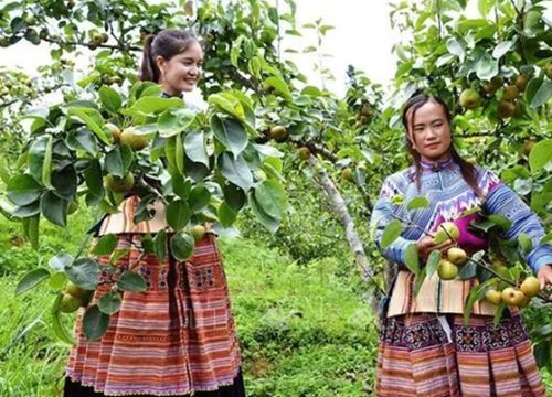 Tăng cường quản lý, giữ gìn uy tín và thương hiệu du lịch Lào Cai