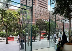 Cập nhật tình hình xếp hàng mua iPhone 14 tại Apple Store Orchard Singapore