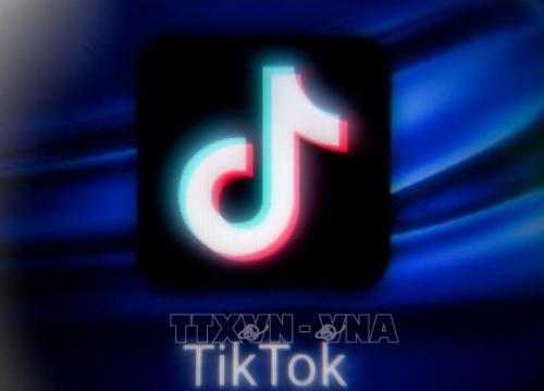 NewsGuard: Kết quả tìm kiếm của TikTok chứa nhiều thông tin sai lệch