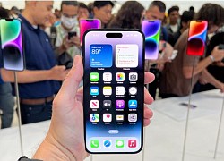 Sự khôn ngoan của Apple