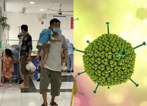 Virus Adeno có thể gây dịch bệnh mới không?