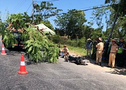 Vừa trúng tuyển ĐH, nữ sinh viên quê Quảng Nam gặp tai nạn, tử vong tại Huế