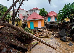 Bão Fiona đổ bộ, Tổng thống Mỹ ban bố tình trạng khẩn cấp đối với đảo Puerto Rico