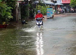 Các tỉnh, thành phố chủ động chỉ đạo phòng ngừa, ứng phó thiên tai