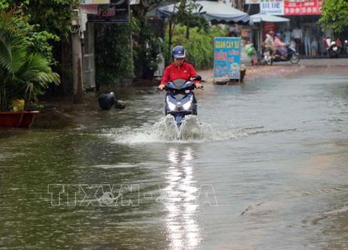 Các tỉnh, thành phố chủ động chỉ đạo phòng ngừa, ứng phó thiên tai