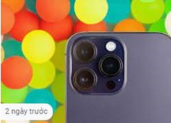 Chủ sở hữu iPhone 14 Pro phản ánh camera bị rung trong các ứng dụng bên thứ 3