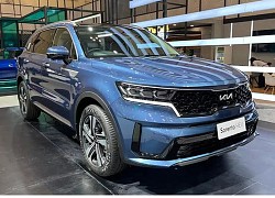 Đại lý nhận đặt Kia Sorento hybrid - SUV 7 chỗ tiêu thụ chỉ hơn 6 lít xăng 100 km, cạnh tranh Santa Fe