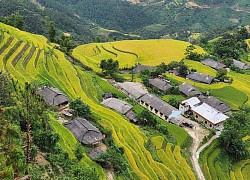 Hoàng Su Phì tổ chức chương trình du lịch "Qua những miền di sản ruộng bậc thang" lần thứ 8