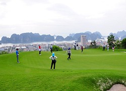 FLC bị truy thu tiền vì 'đào trộm' 8 giếng khoan để tưới cỏ sân golf