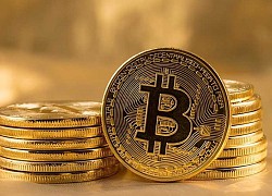 Giá Bitcoin hôm nay 19/9: Tiếp tục tăng hơn 1%