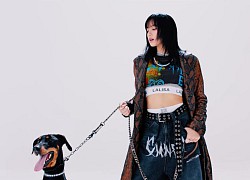 Giọng hát của Lisa (BLACKPINK) được đánh giá cao trong album mới