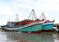 Khắc phục 'thẻ vàng' IUU: Nỗ lực ngăn chặn tàu cá vi phạm tại vùng biển nước ngoài