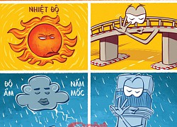 Không ngại nắng mưa, chỉ sợ 'bôi sĩ' mạo danh nghệ thuật graffiti