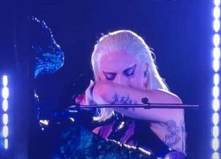 Lady Gaga khóc vì phải hủy đêm nhạc