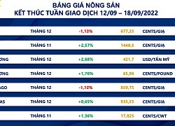 Lực bán chiếm ưu thế trên thị trường hàng hoá, kéo MXV-Index đi xuống