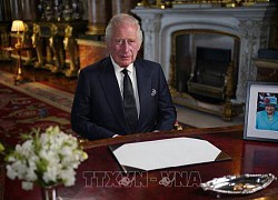 Vua Charles III đã gây dựng thương hiệu thực phẩm hữu cơ hàng đầu nước Anh như thế nào?