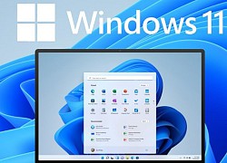 Bản cập nhật mới nhất của Windows 11 khiến card màn hình NVIDIA bị lỗi