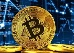 Giá Bitcoin hôm nay 23/9: Tăng vượt 19.000 USD