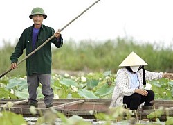 Quảng Bình: Cùng chim trời 'xây tổ' trên phá Hạc Hải