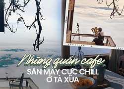 Ngẩn ngơ với 4 quán cà phê như "thiên đường săn mây" ở Tà Xùa