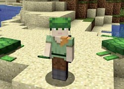 Những Việc Bạn Có Thể Làm Với Rùa Trong Minecraft