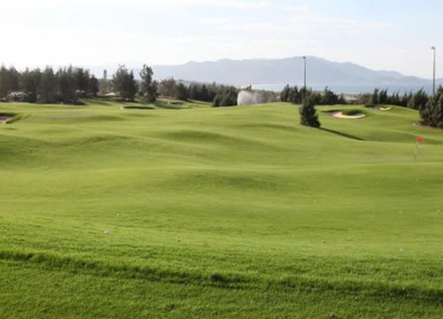 Phú Yên muốn chuyển đất trồng lúa kém hiệu quả sang làm sân golf