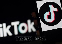 TikTok siết chặt quy định liên quan hoạt động chính trị trước thềm bầu cử tại Mỹ