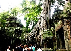 Trở lại Angkor Wat