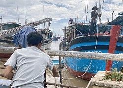 Bí thư Tỉnh ủy Phú Yên kiểm tra công tác ứng phó bão Noru tại vùng nuôi tôm hùm lớn nhất nước