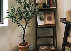 Cuối tuần ngồi đâu: Top quán cà phê view cây xanh