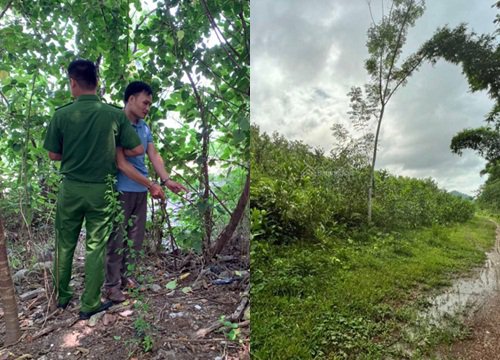 Đau lòng án mạng từ tình yêu mù quáng