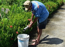 Độc đáo nghề đặt trúm bắt lươn đồng ở miền Tây