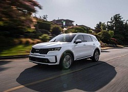 Kia Sorento và Sportage bị triệu hồi vì có nguy cơ cháy nổ