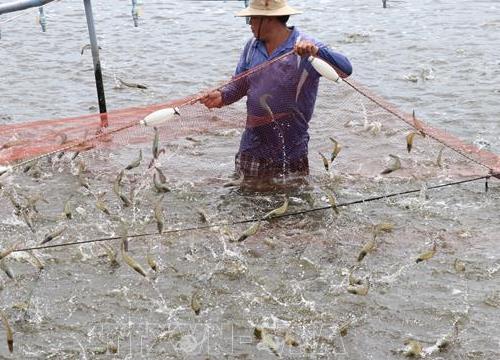 Phát triển kinh tế biển - Bài cuối: Những động lực mới