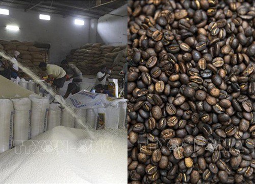 Thị trường nông sản thế giới: Giá gạo Ấn Độ neo gần mức cao của một năm rưỡi