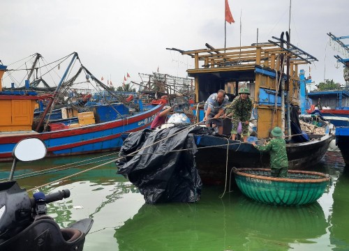 Tiếp tục kêu gọi 51 tàu cá di chuyển về nơi an toàn tránh bão Noru