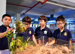 Trường học 'mở đường' để đánh thức lòng biết ơn trong mỗi học sinh