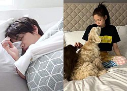 V (BTS) bị tung thêm ảnh nằm tại nhà Jennie (BLACKPINK), lộ thời gian cặp đôi chính thức hẹn hò